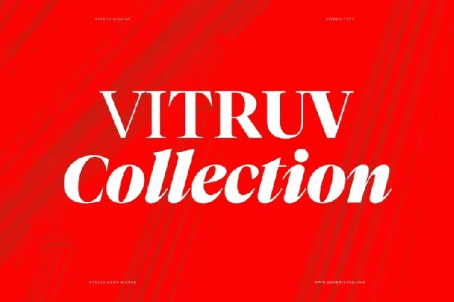 Vitruv Family font