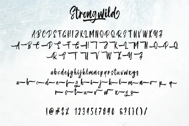 Strongwild Brush font