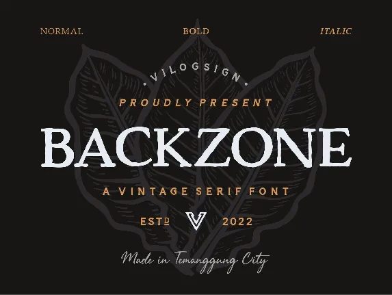 Backzone font