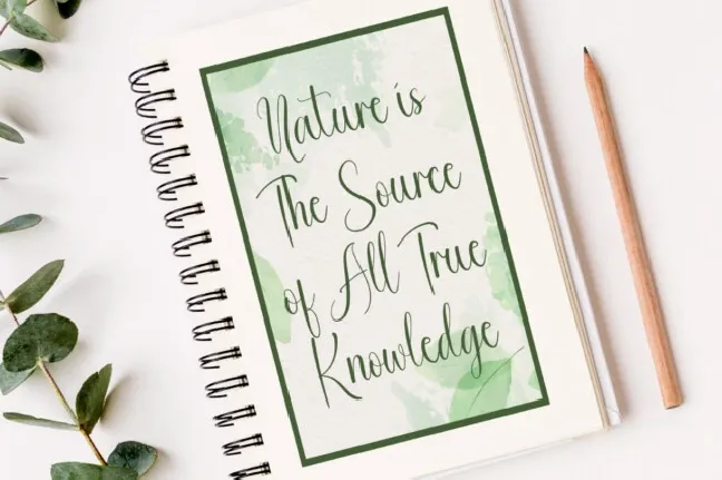 Good Nature font