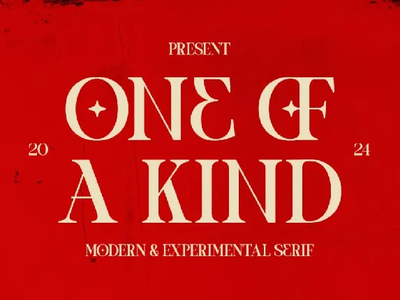 One of a kind | Lite Edition font