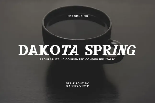 Dakota Demo font