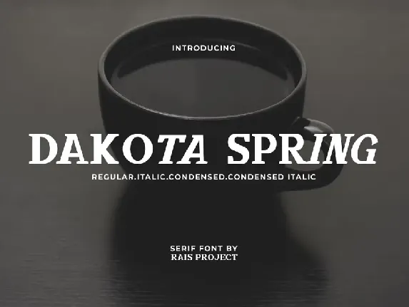 Dakota Demo font