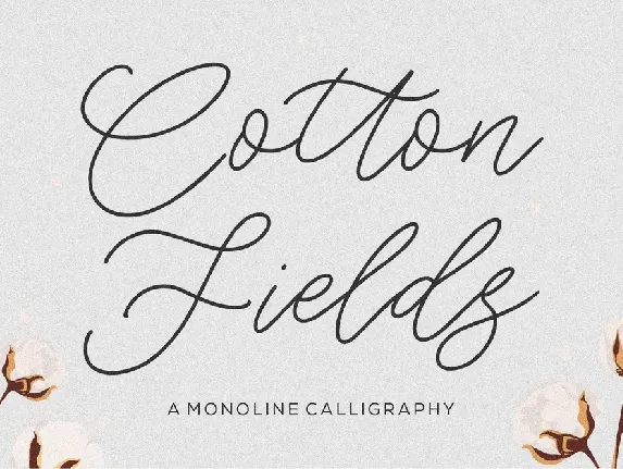 Cotton Fields font