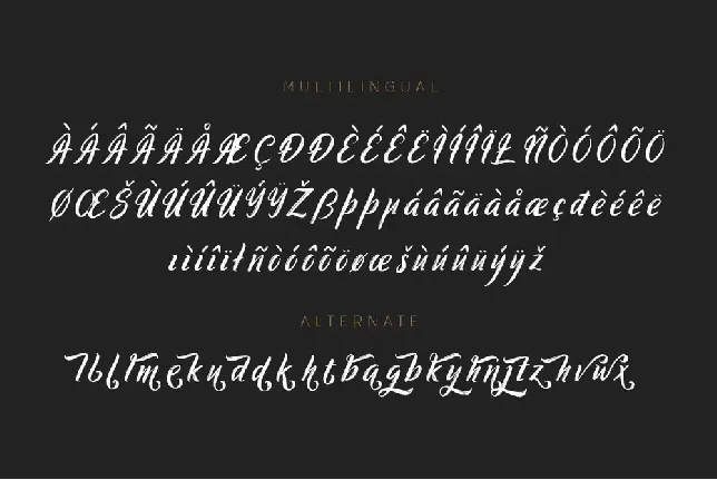 Ringtrack font