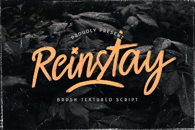 Reinstay font