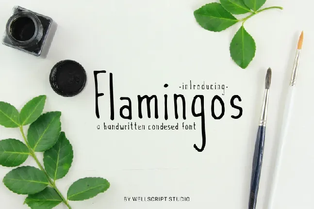 Flamingos Handwritten font