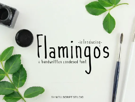 Flamingos Handwritten font