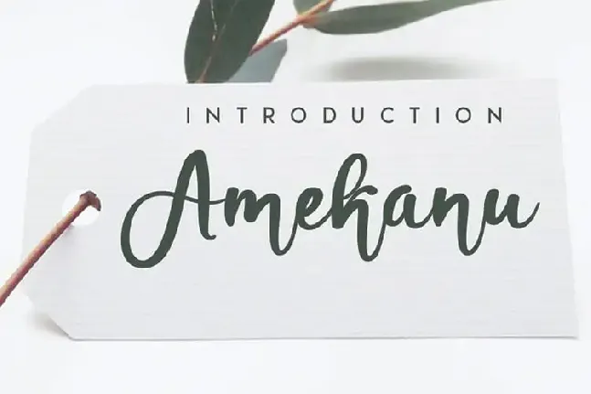 Amekanu Script font