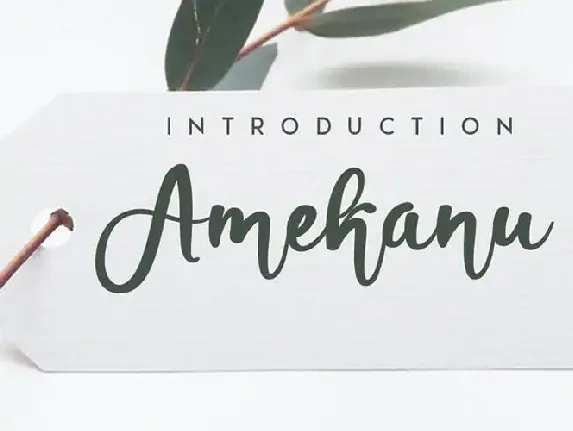 Amekanu Script font