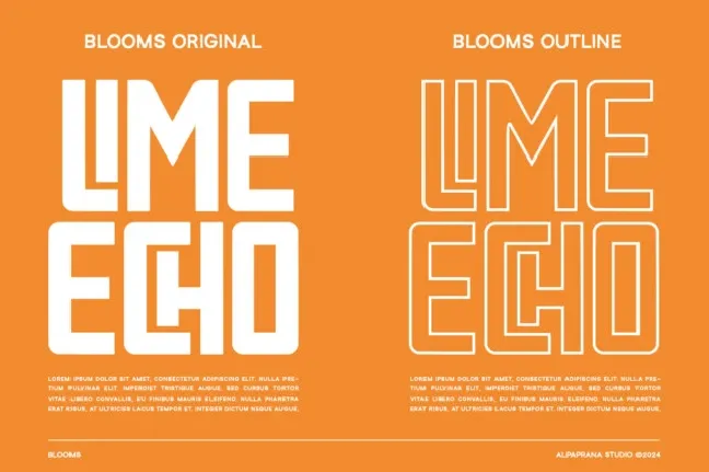 Blooms – Display font