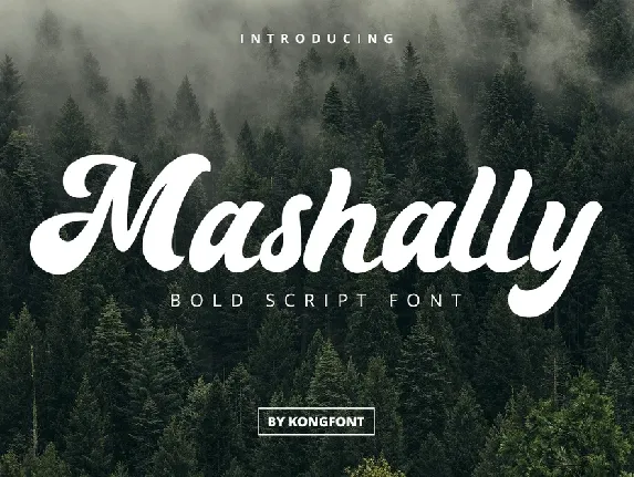 Mashally Free font