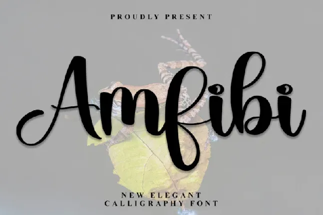 Amfibi font