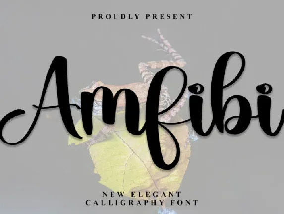 Amfibi font