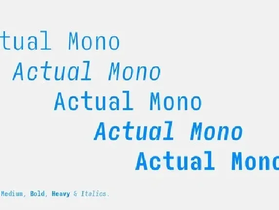 Actual Mono font