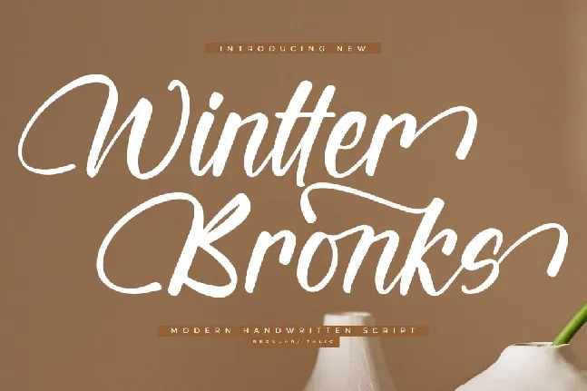 Wintter Bronks DEMO VERSION font