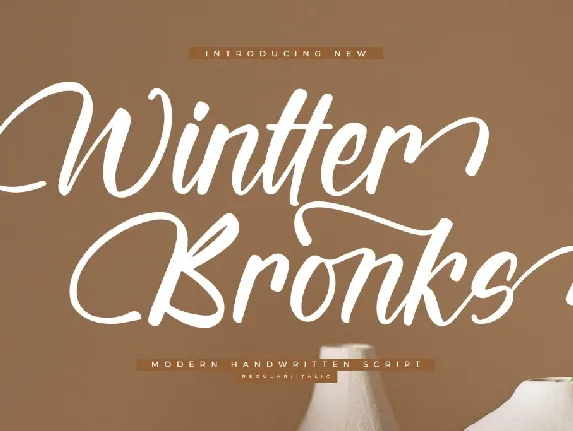 Wintter Bronks DEMO VERSION font