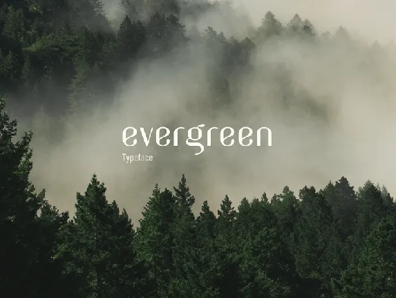 Evergreen Typeface font