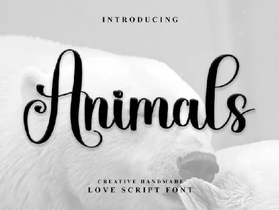 Animals Typeface font