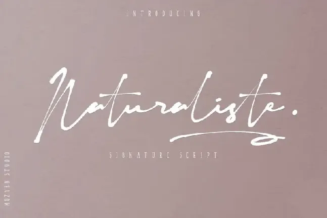 Naturaliste Script font