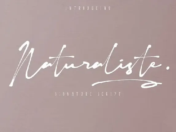 Naturaliste Script font