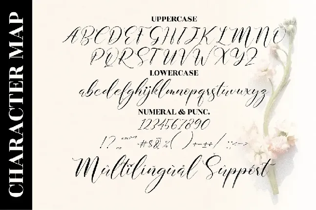 Delmore font