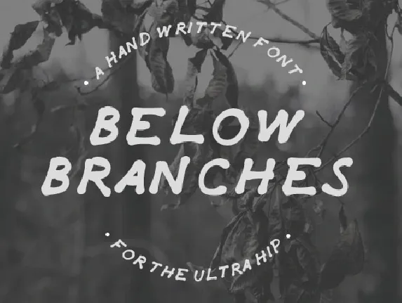 Below Branches font