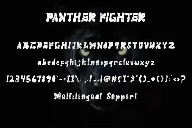 Panther Fighter font