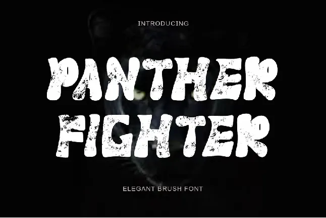 Panther Fighter font