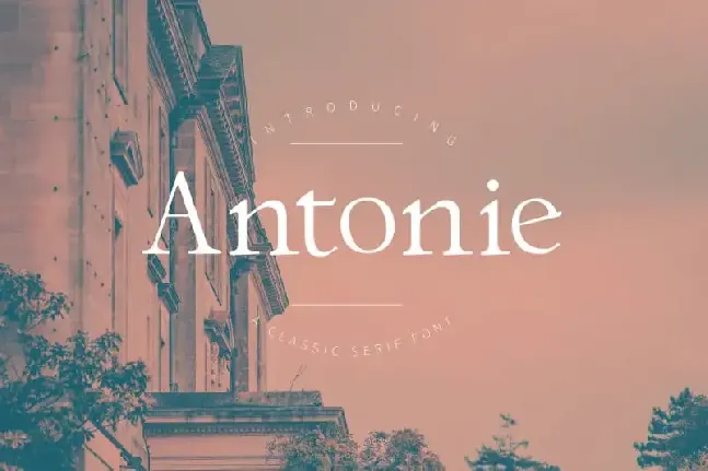 Antonie Serif font