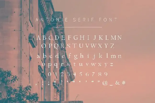 Antonie Serif font