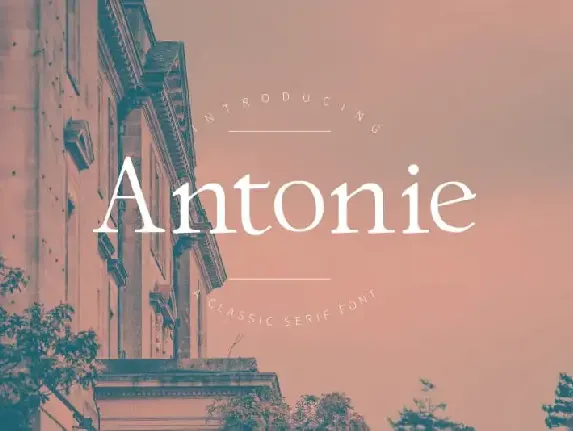 Antonie Serif font