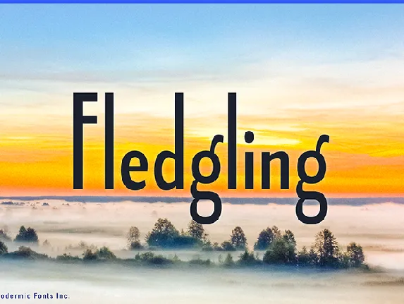 Fledgling font