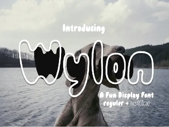 Wylon - Demo font