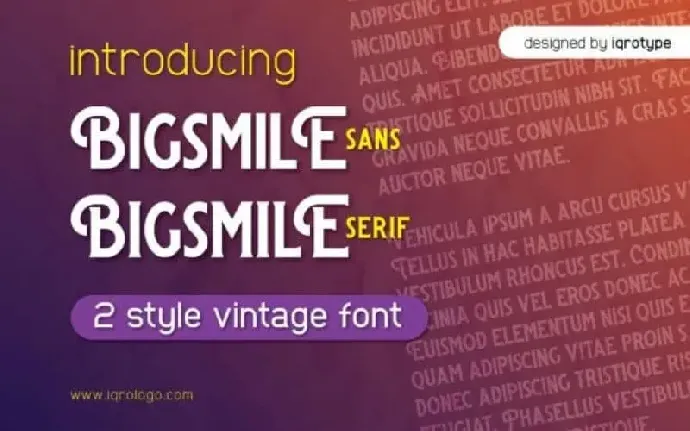 Bigsmile Duo font