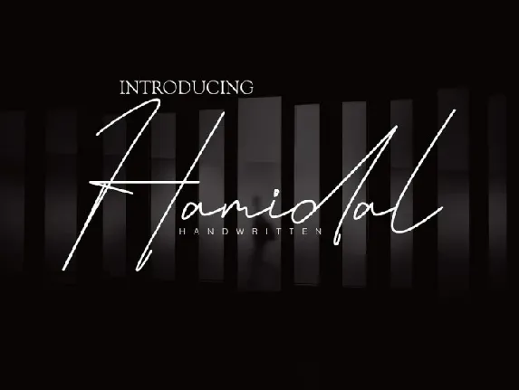 Hamidal Handwritten font