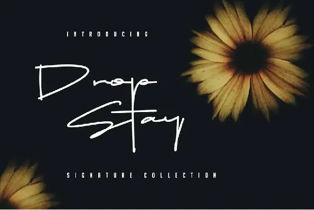 Drop Stay Signature font