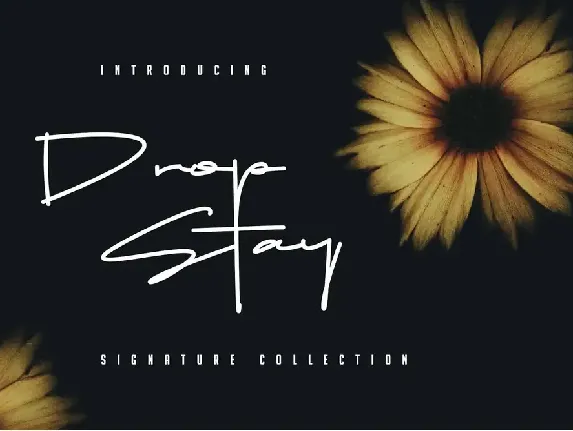 Drop Stay Signature font