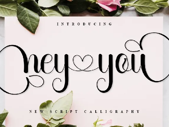 Hey You Typeface font