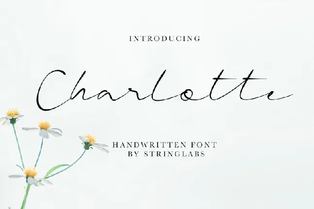 Charlotte Handwritten font