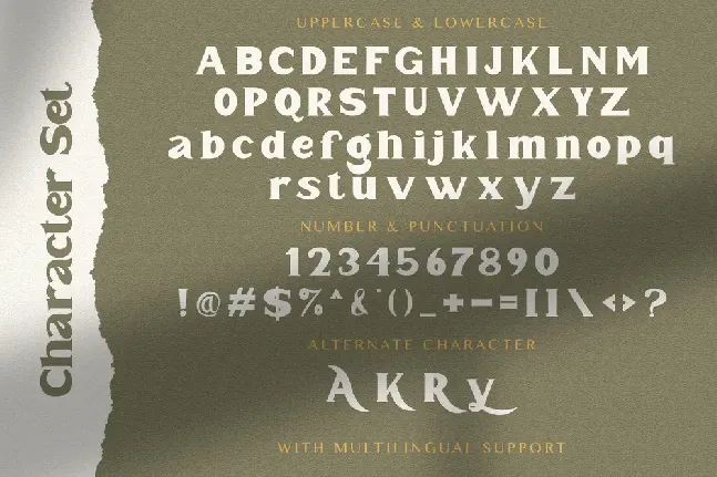 Mister Saefudin font