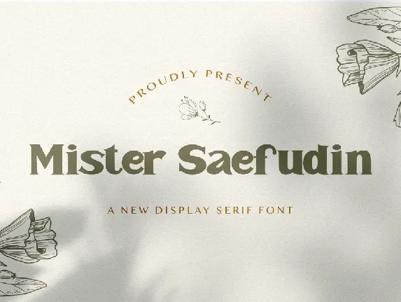 Mister Saefudin font