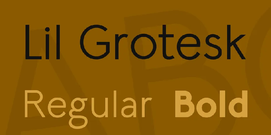 Lil Grotesk font