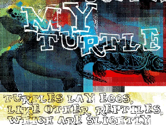 MY TURTLE font