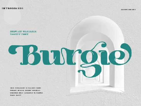 Burgie Black Serif font