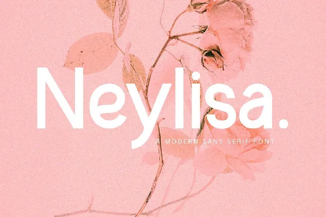 Neylisa font