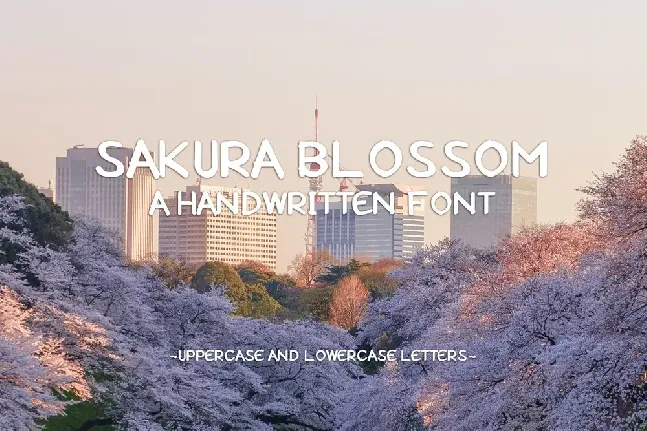 Sakura Blossom font