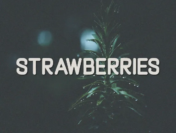 Strawberries font