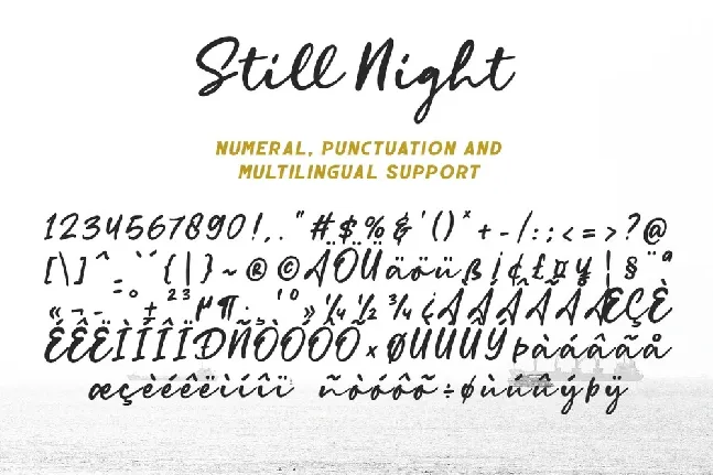 Still Night font