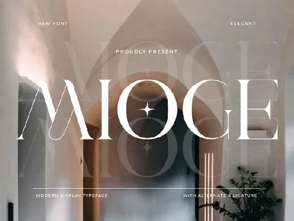 Mioge Typeface font